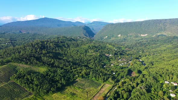 Aerial Shot Large Vineyard Fields Among Mountains