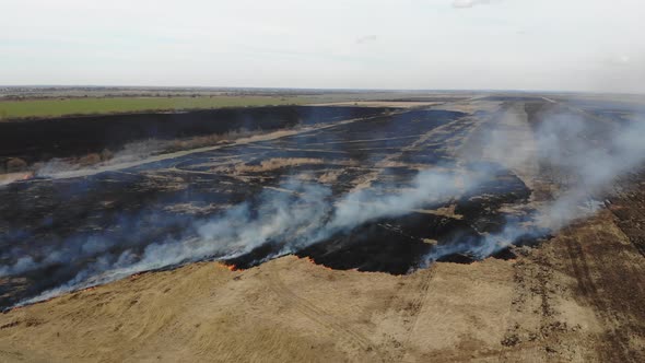 Aerial drone view of burning grass and plants in the field. Zoom in straight to epicenter of evil