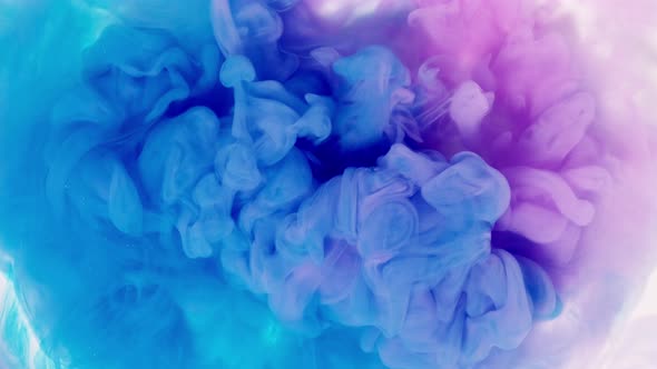 Blue and Pink Ink Swirling Mixing in Water alt
