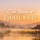 Cool Breeze of Thailand