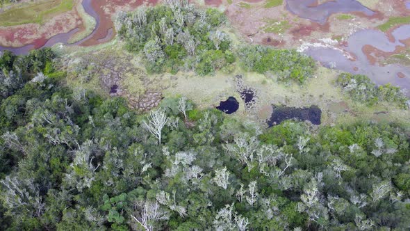 Aerial View Drone Flying Over Wetlands