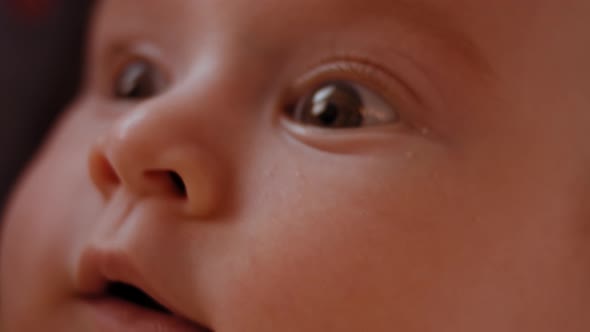 Newborn Baby Human Child Lies on His Back in a Stroller at Home alt