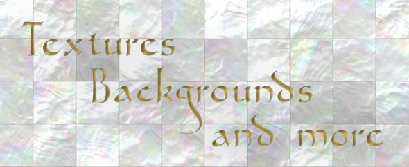 Profile header