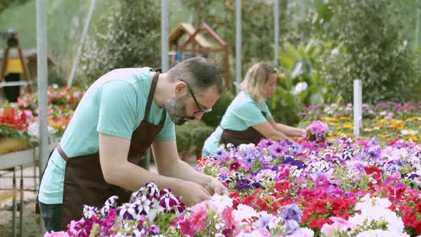 Gardeners or Botanical Experts Wearing Aprons alt