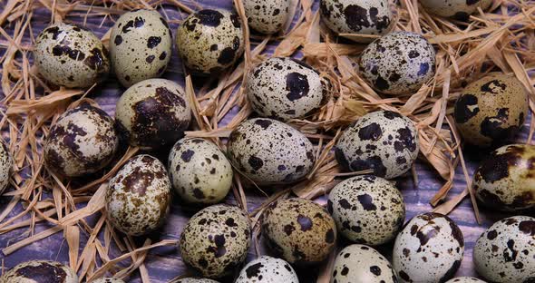 Quail Eggs and Straw on Wood 