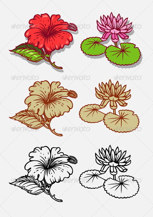 Flowers Illustration - Flowers & Plants Nature