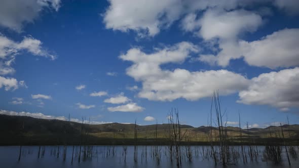 Clouds flying above wetland alt