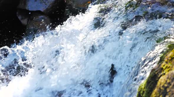 Close Up Showing Water Rush Down Small Rapids Into Stream