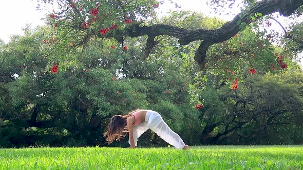Young Woman Practicing Yoga Performing Succession of Asanas in a Green Park under a Tree