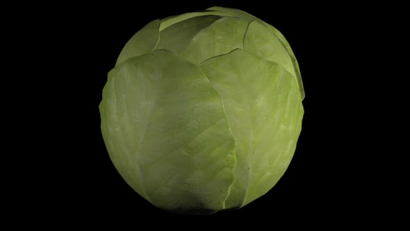 Animation of spinning cabbage on a black background