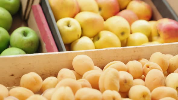 Fresh Fruit for Sale alt