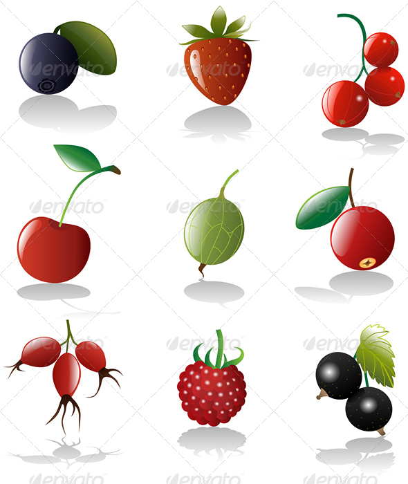 Berries icon set