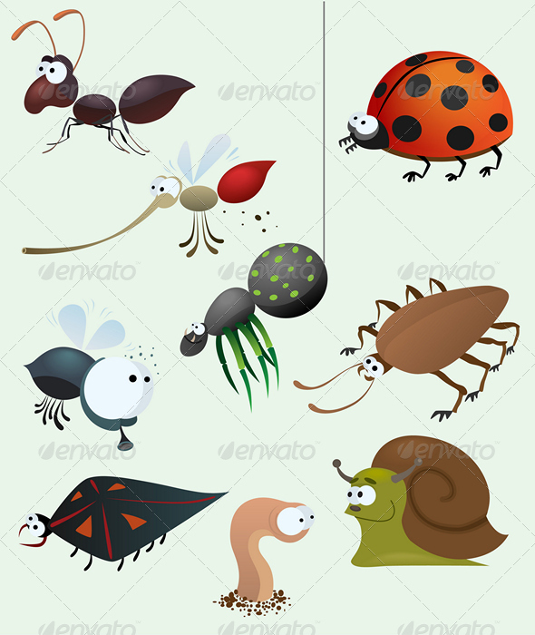 Funny insect set - Animals Characters