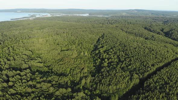 Nature on the Amur River in Russia alt