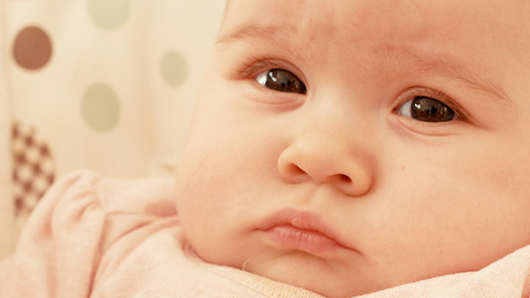 Portrait of Cute Little Baby Girl alt