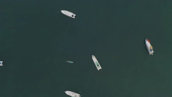 Aerial top view of blue colored fishing boats anchored along the coastline alt