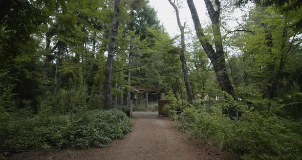 Gate In A Forest - 4k alt