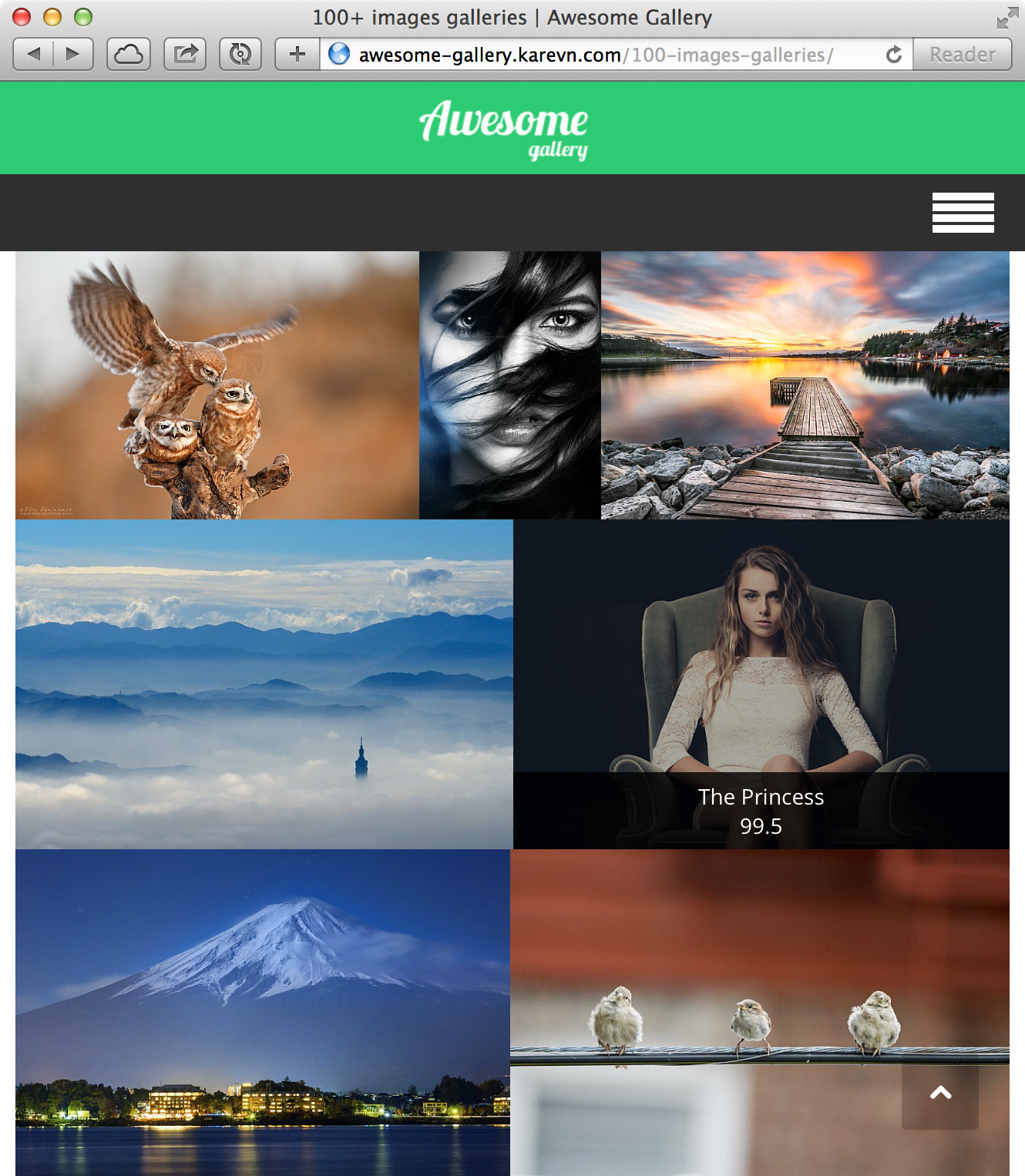 Awesome Gallery Instagram, Flickr, Facebook galleries on your site