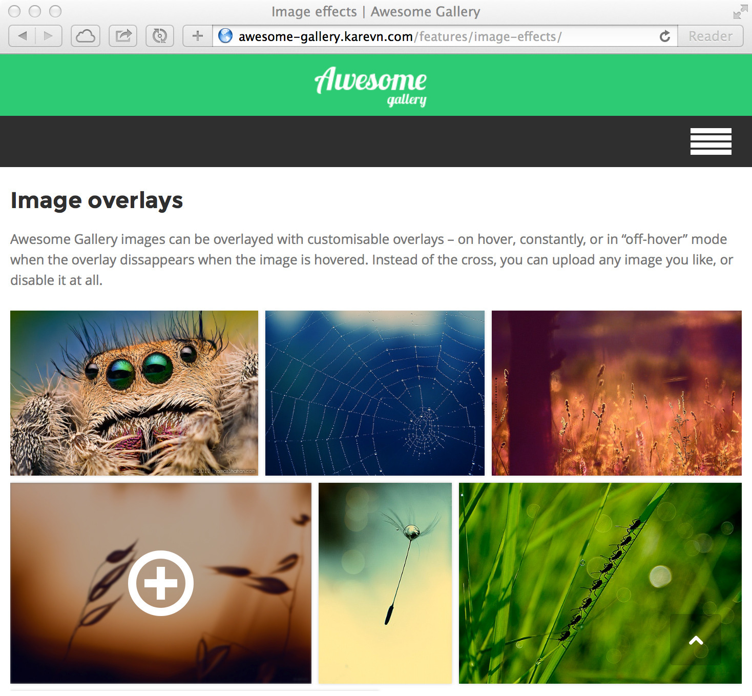Awesome Gallery Instagram, Flickr, Facebook galleries on your site