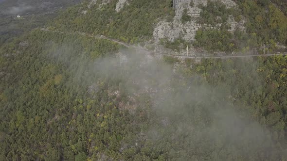 Aerial view of forest and winding road on mountainside, green trees, low clouds, Montenegro