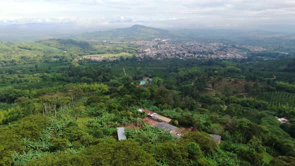 Coffee town in the middle of mountains and coffee plantations alt