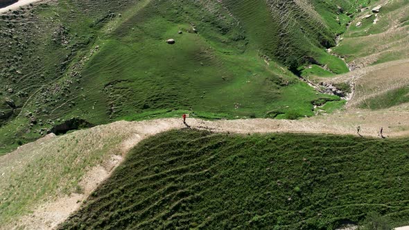 Tourists hiking on summer meadow in green mountain valley alt