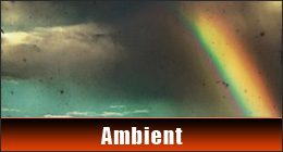 Ambient