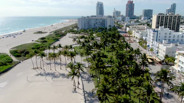 Palm Trees Standing At Lummus Park In South Beach. Miami Beach, Florida In Summer. aerial alt