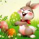 This is Easter Bunny