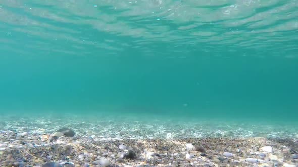 Real Shot Underwater Scenery Corporate Promotion Video