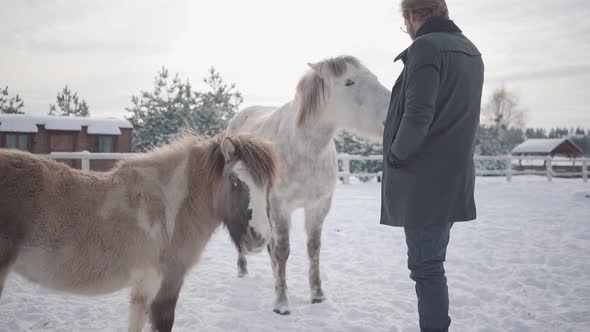Bearded Guy with Glasses Strokes a White Horse on a Ranch in the Winter Season alt