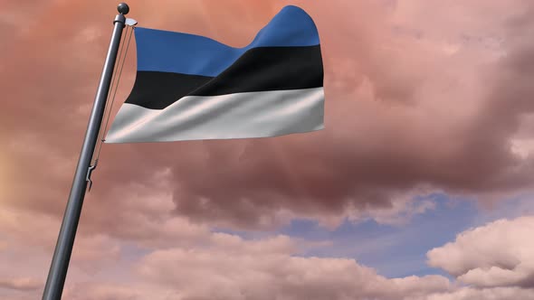 Estonia Flag 4K alt