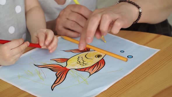 Close Up of Womens and Childrens Hands Draw Goldfish with Colored Pencils on Paper