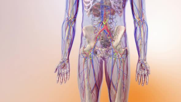 The Cell Is Divided Into Concept Of Mutation And Evolution Animation alt