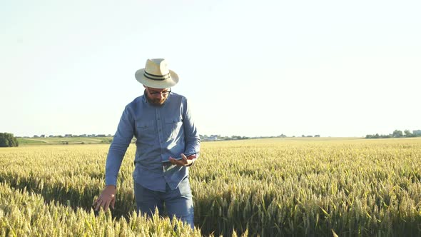 Young Farmer Checking the Wheat Ears on Field Using Tablet alt