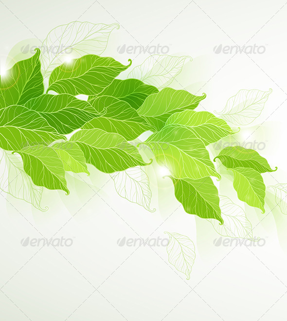 Background with Green Leaves - Flowers & Plants Nature
