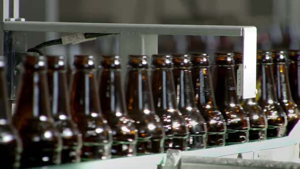 Sensor Is Checking Dark Glass Bottles Moving Over Conveyor Belt in Bottling Workshop