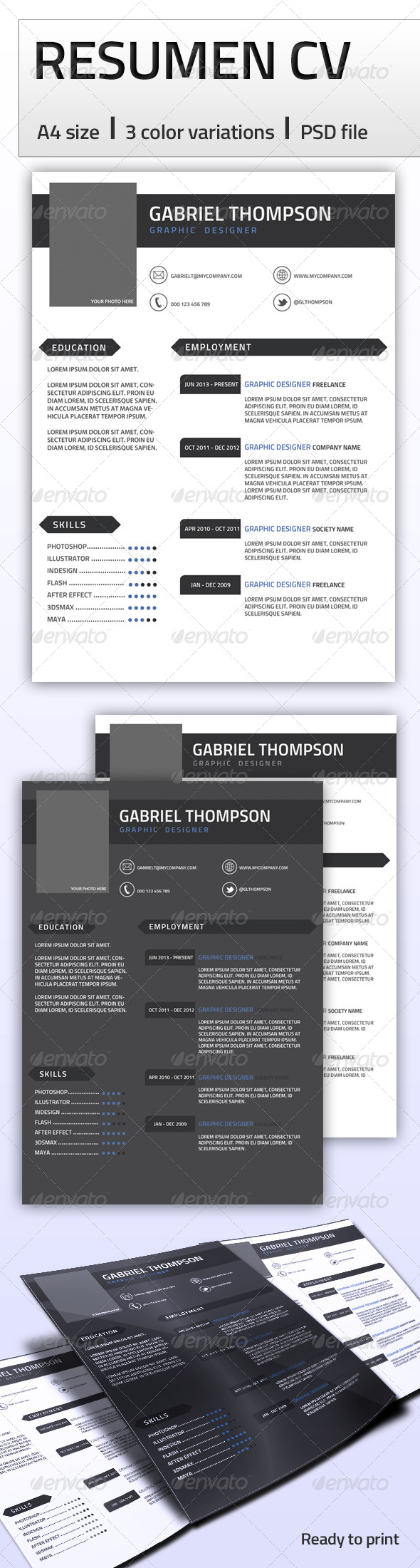 Professional Resume A4 - Resumes Stationery