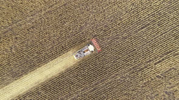 Aerial View of a Harvester Harvesting Corn in the Field
