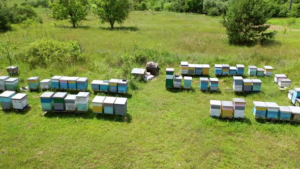 Bee houses in the garden alt