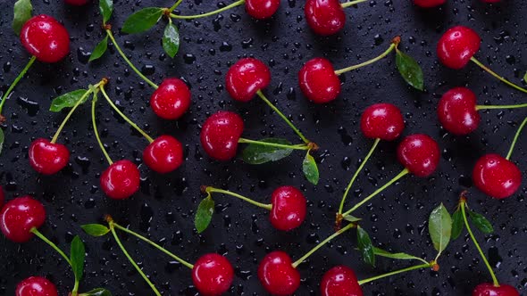 Rotating Background of Ripe Wet Cherries with Water Drops on a Black Background with Green Leaves