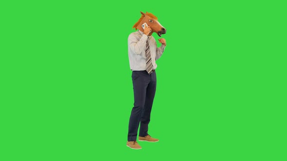 Stressed Man in Horse Mask Make Phone Call Frustrated Speaking Scrolling Web Browser on Smartphone