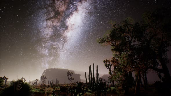 The Milky Way Above the Utah Desert, USA alt