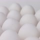 White chicken eggs - slow panning view. - VideoHive Item for Sale