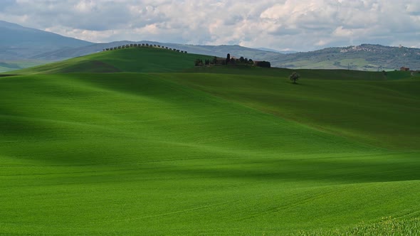 Spring fields in Tuscany alt