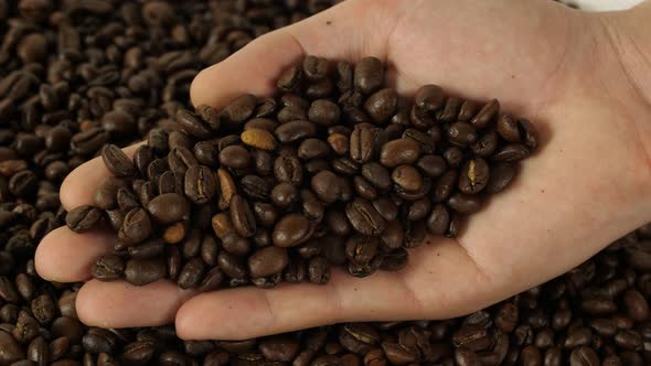 Hand With Coffee Beans alt