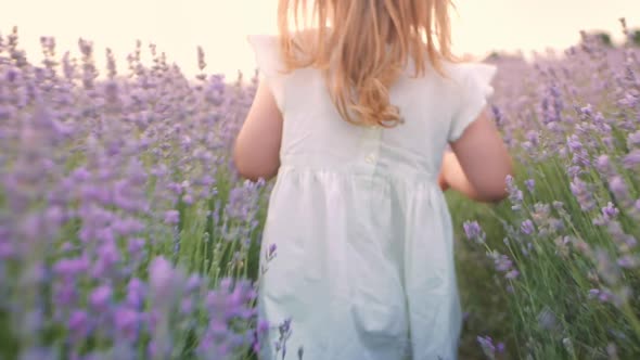 Blurred Child Runs Through Lavender Field Slow Motion Summertime Outdoors
