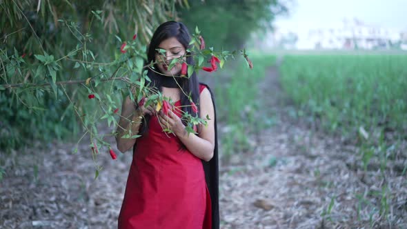 Indian Girl in Green Field