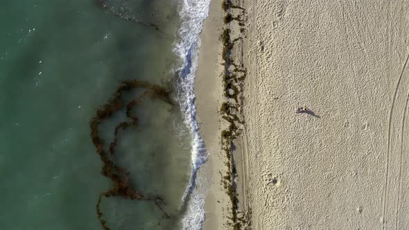 View at Sunny Sand Beach with Rolling Waves in Miami in USA