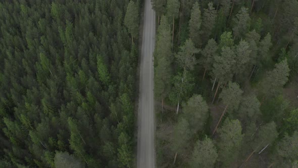 Drone top down view of empty road in the woods. alt